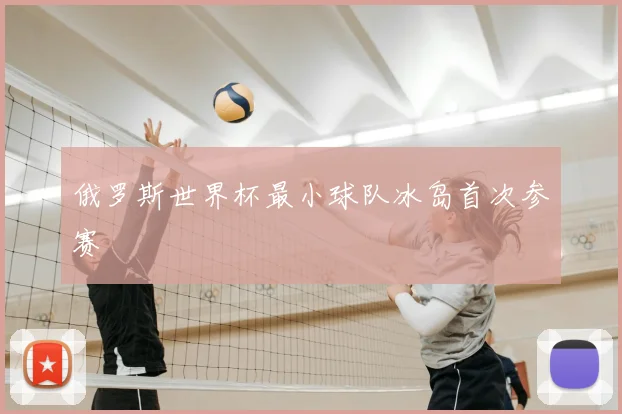俄罗斯世界杯最小球队冰岛首次参赛