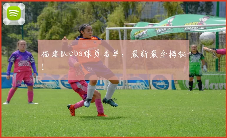 福建队cba球员名单，最新最全揭秘！