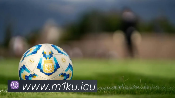 c罗皇马赛季进球数，惊人数据背后的传奇足球之路